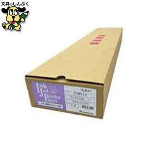 ʐ^p  X^[}bgR[g 2{ SUM914