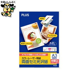 v^[pRs[p vX J[[U[p PP-140WH-T A3 100