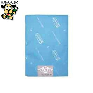 ノート紙製品 SAKAEテクニカルペーパー ケント紙 S-180-B4(規) 100枚