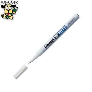 }[J[ zCg X100W-F ɍ ؂Ă