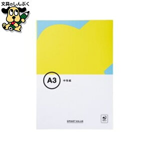 Rs[y[p[  A3 500 A004J SV