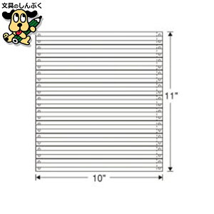 XgbNtH[ 10X11 2000 r {ʐM