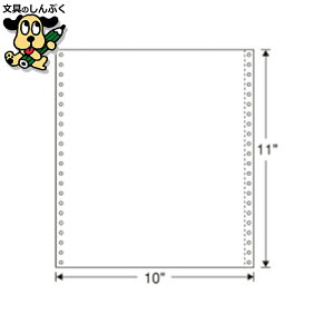 XgbNtH[ 10X11 2000 {ʐM