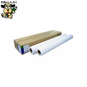 ���ʎ����[���q����rEPPP9044 EPSON