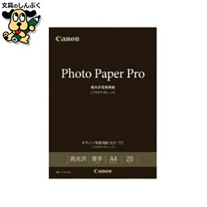 ʐ^p v PT-201A420 A4 20 Lm