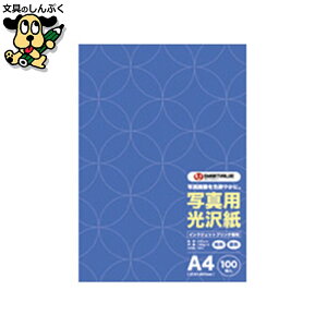 ʐ^p  A4 100 A029J SV X}[go[