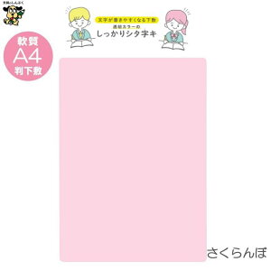 A4 ~ J[̂V^L A4 TCS-A4 hvX`bN \[_  O[v  pC \tg _炩 炩  ~ J[ M ׋ h  d