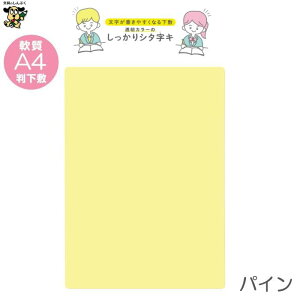 A4 ~ J[̂V^L A4 TCS-A4 hvX`bN \[_  O[v  pC \tg _炩 炩  ~ J[ M ׋ h  d