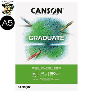 ގ OWGCg h[CO zCgy[p[ A5 C400110364 L\ }} (Z)