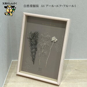 tHgt[ ʐ^ Rtz A4 A[EGtEt[1 1000127057 A[g vg Wp APJ