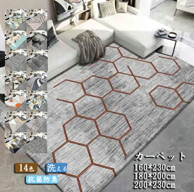 送料無料 北欧系 おしゃれ シンプル rug mat カーペット ラッグマット 四季通用 手入れ簡単 リビング 部屋 玄関 テーブル ソファー 寝室 防菌防カビ ペット対策 敷物 絨毯 160*230cm 180*200cm 200*230cm 滑り止め 14色