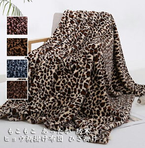 hӂƂ k qE 5F  pr G| | {AuPbg ѕz zc {Azc n  H~ g VO Ԃh q Q|zc ې Ԓ 