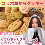 【人気インフルエンサーらむねちゃんプロデュース 】　豆乳ダイエットおからクッキーバー　 40本入 約800…
