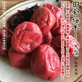 梅干し (大粒)900g【送料無料】（300g×3袋セット）100年続く奈良の梅農家の無添加 田舎の 梅干し！酸っぱい 辛い 昔の しそ漬け！おかず 定番 最強 紫蘇梅 しそ梅クエン酸 たっぷり 塩分補給ウィルス抑制効果