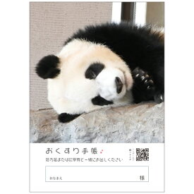 春限定お薬手帳／すやすやパンダ(1冊)　4465