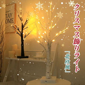 クリスマスツリー 白樺 ブランチ LEDツリー55cm ホワイト 白 ブラウン 茶 北欧 北欧風 白樺 枝ツリー ヌードツリー おしゃれ イルミネーション ライト 照明 インテリア usb 電池式　送料無料