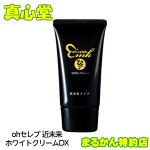 yԗDǃVbvܓXz ohZuߖzCgN[DX ֓l