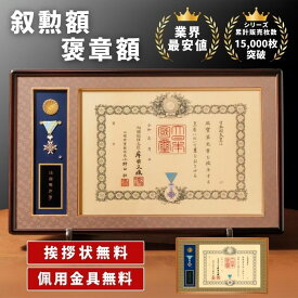 【額縁ランキング1位】叙勲額 褒章額 シリーズ累計1万5,000枚突破！佩用金具つき　山吹YM YK　叙勲　勲章　額縁　額　瑞宝　旭日　褒章