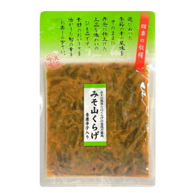 みそ山くらげ　90g　みその風味と山くらげの食感がたまらない！相性が抜群で箸が止まらない！お味噌が食欲をそそります　青唐辛子入りでピリッと美味しい！　松一（まついち）