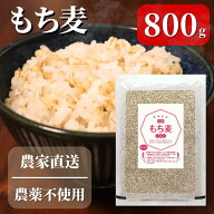 【ポスト投函】 産地直送 もち麦 800g 国産 信州ファーム荻原 もちむぎ ごはん 長野県 信州産 農薬不使用…