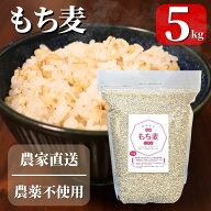 もち麦 5kg 産地直送 信州産 信州ファーム荻原 農薬不使用 長野県 国産 精麦 健康 大麦 もちもち ごはん …