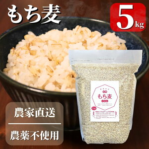  5kg Yn MBY MBt@[ _sgp 쌧 Y  N 唞  ͂ 