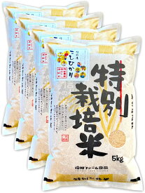 【産地直送】残留農薬不検出 こしひかり 【玄米 5kg 10kg 15kg 20kg】信州産 令和5年産 米 お米 コメ 長野県 信州ファーム荻原 低温倉庫 保存 減農薬 農家 直送