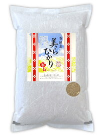 【産地直送】残留農薬不検出 美らひかり 【玄米 5kg 10kg 15kg 20kg】石垣島産 令和5年産 米 お米 コメ 長野県 信州ファーム荻原 低温倉庫 保存 農家 直送 減農薬