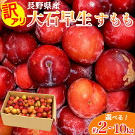訳あり 大石早生 すもも 長野県産 選べる 2kg 4kg 7kg 10kg ご家庭用 プラム ランダムお届け 果物 フルー…