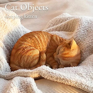 L̒u CeA ˂ IuWF I[ig LObY ˂ Lbg ՔL 킢   G u Mtg v[g rO _CjO  GgX K[f