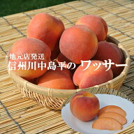 【2026年受付中】長野県信州名産品　2kgワッサー信州の味【地元当店産地直送】