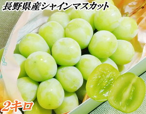 y\̔Jnz2L VC}XJbg MBŶԂǂ 2kg Gi3`5[y VC}XJbg zI nX Yn ł͂ yʕ̔11N̖ڗ̕iz @쌧Y@uh