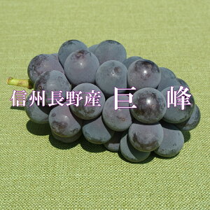 MBY@Ȃ2LO@Yn9{蔭Jn\