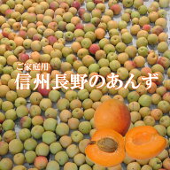 予約【2026年産】信州長野の生あんず6キロ地元店産地直送ご家庭用生あんず「送料無料」