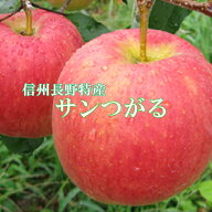2026年！信州長野県登録商標【サンつがる10キロ】ご自宅用　地元当店より産地直送