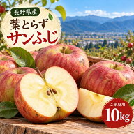 信州サンふじりんごご家庭用10kg【じゅんちゃん家の農園】【ご家庭用】【送料無料】【長野産】信州産 さ…