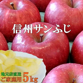 糖度13度前後！信州サンふじりんご5kg！産地直送サンふじりんご/　長野県産 信州産さんふじ リンゴ