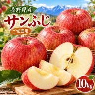 糖度13度前後！信州サンふじりんご10kg！産地直送 サンふじ りんご リンゴ 林檎 長野県産 訳あり 不揃い …