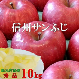 糖度13度以上ご贈答に！信州りんご【サンふじ】秀品10kg！産地直送サンふじりんご！光センサー選果！長野県産 信州産 プレゼント さんふじ リンゴ サンふじ　りんご