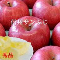 光センサー選果！ご贈答に！信州りんご【サンふじ】秀品10kg！産地直送サンふじりんご！長野県産 信州産 …