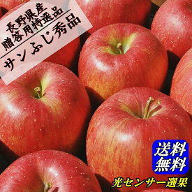 ご贈答に！信州りんご【サンふじ】秀品2.8〜3kg！産地直送サンふじりんご！光センサー選果！長野県産 信州産 プレゼント さんふじ リンゴ