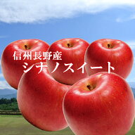 「ご家庭用」信州長野本場からシナノスイートりんご10kg！農園直送りんご！