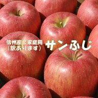 信州サンふじりんご5kg地元店産地直送ご家庭用サンふじ りんご リンゴ 林檎 長野県産 訳あり 不揃い 果物…