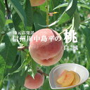 2025年！予約受付　桃 川中島平の桃 【 白鳳 】朝摘み出荷2・3・5kg 産地直送 残暑見舞い 暑中見舞い ギフト プレゼント 長野県産 信州産 もも モモ