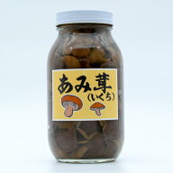【須坂食品工業】あみ茸 味付け いくち イクチ アミタケ 網茸 きのこ キノコ アミコ アミモタシ イグチ …