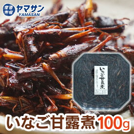 【須坂食品工業】 いなご甘露煮 100g イナゴの佃煮 いなご佃煮 いなご 佃煮 信州の珍味 昆虫食 蝗 長野県 長野 信州土産 信州のお土産 長野のおみやげ 産直市場ヤマサン