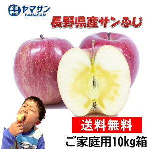 \ 쌧Y  Tӂ 󂠂 5kg  10kg  yiz5L 10L  ӂ TtW S ь ƒp  MB Ysꃄ}T