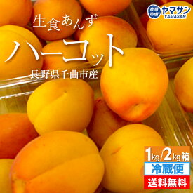 予約 生食あんず ハーコット 約1kg 約2kg 長野県千曲市産 6月下旬～7月中旬出荷 【送料無料】（約500g×2パック・4パック）日本一のあんず里から 令和8年度産 長野 国産 2キロ 1キロ はーこっと お取り寄せ 生あんず 生杏 生食用 あんず アンズ 信州産 産直市場ヤマサン