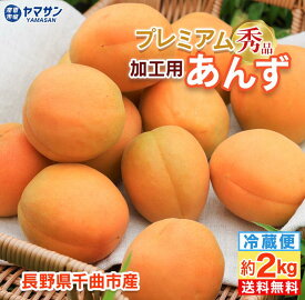 予約 加工用あんず 秀品 約2kg 長野県千曲市産 高級 プレミアム 7月上旬～7月中旬出荷【送料無料】（約500g×4パック入）地元で人気の直売所から発送 令和8年度産 2キロ 生あんず 生杏 生杏子 あんず ジャム シロップ 信州産 産直市場ヤマサン
