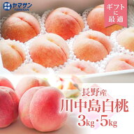 川中島白桃 予約 3kg箱・5kg箱 8月中旬〜下旬発送 長野産 糖度と食感が大人気！【送料無料】冷蔵無料 ク…